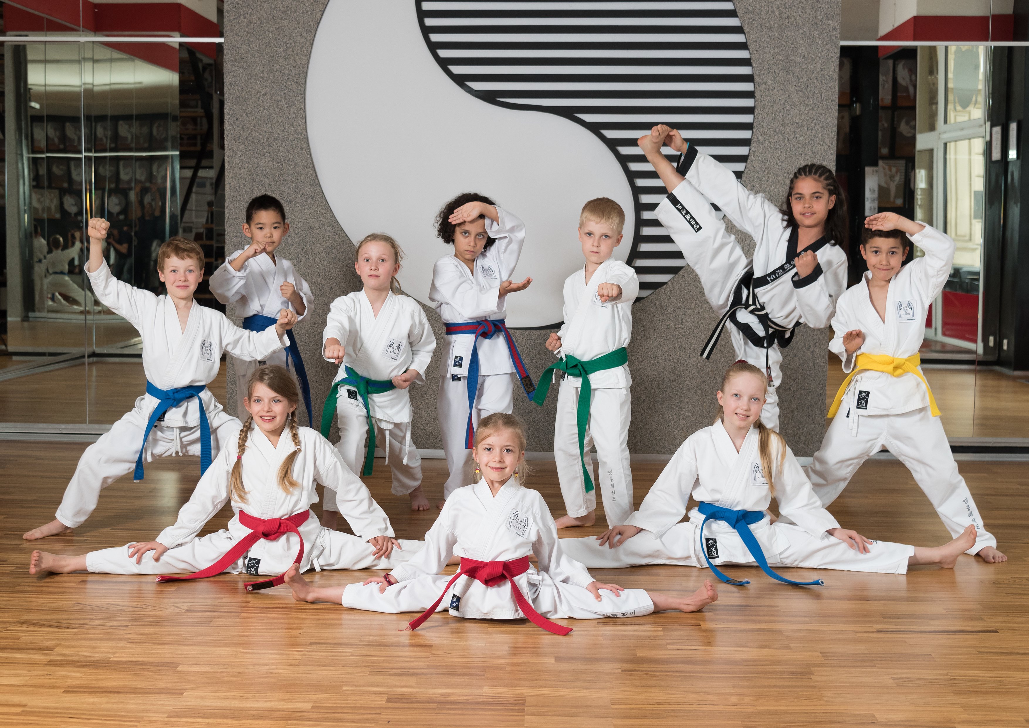 El sistema de enseñanza de GO-FOR-BLACK-BELT